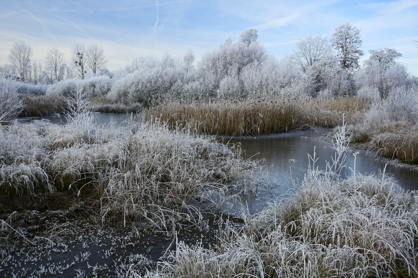 Winterliches Landschaftsbild der Nieheimer Tongruben